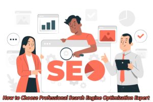 How to Choose Professional Search Engine Optimization Expert